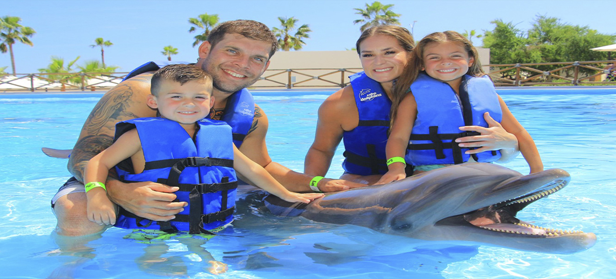 Dolphin Encounter