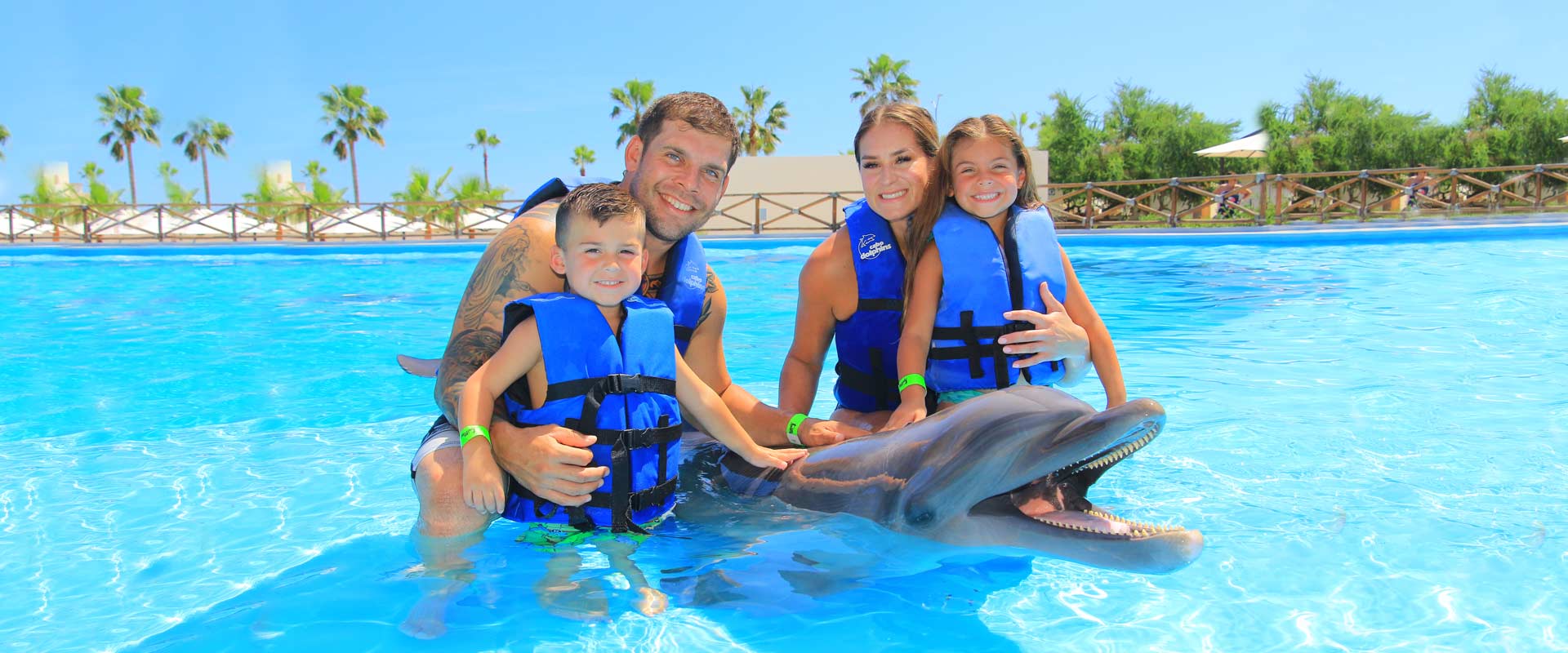 Dolphin Encounter