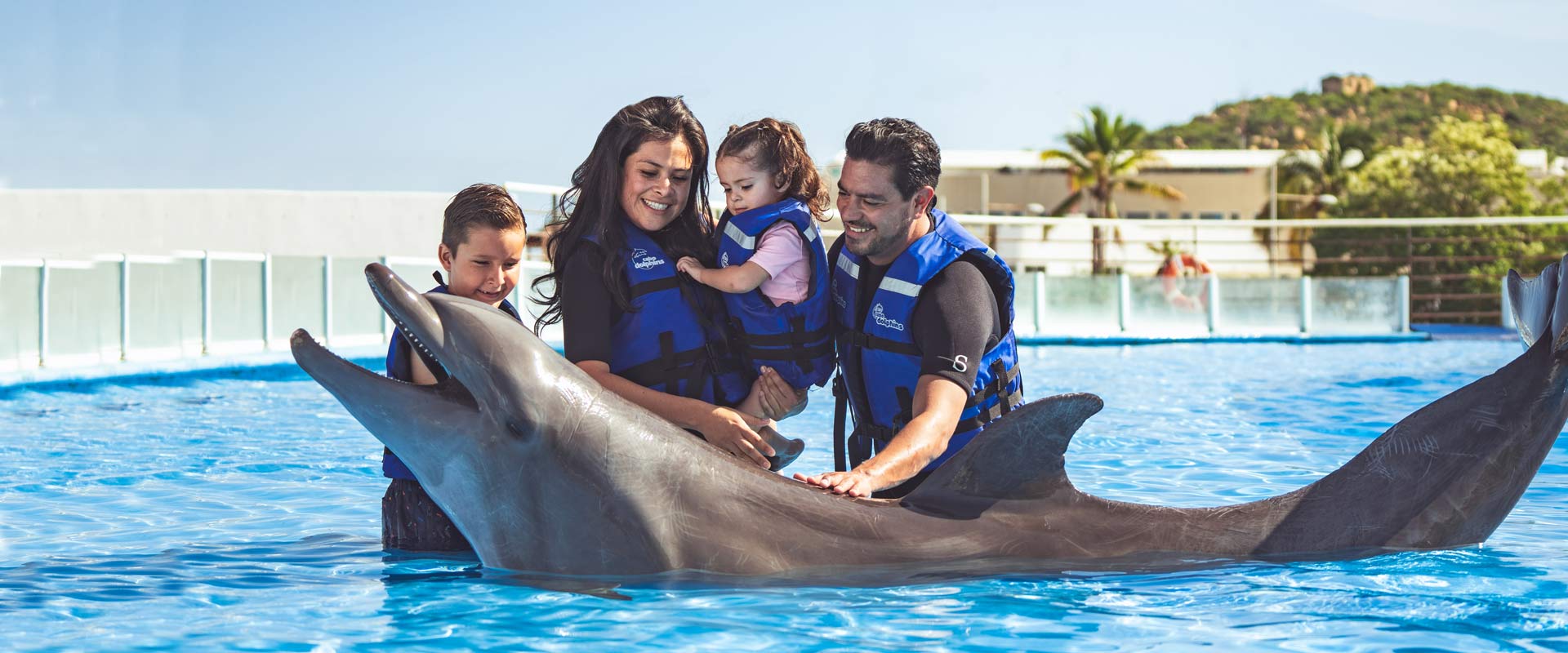 Dolphin Encounter