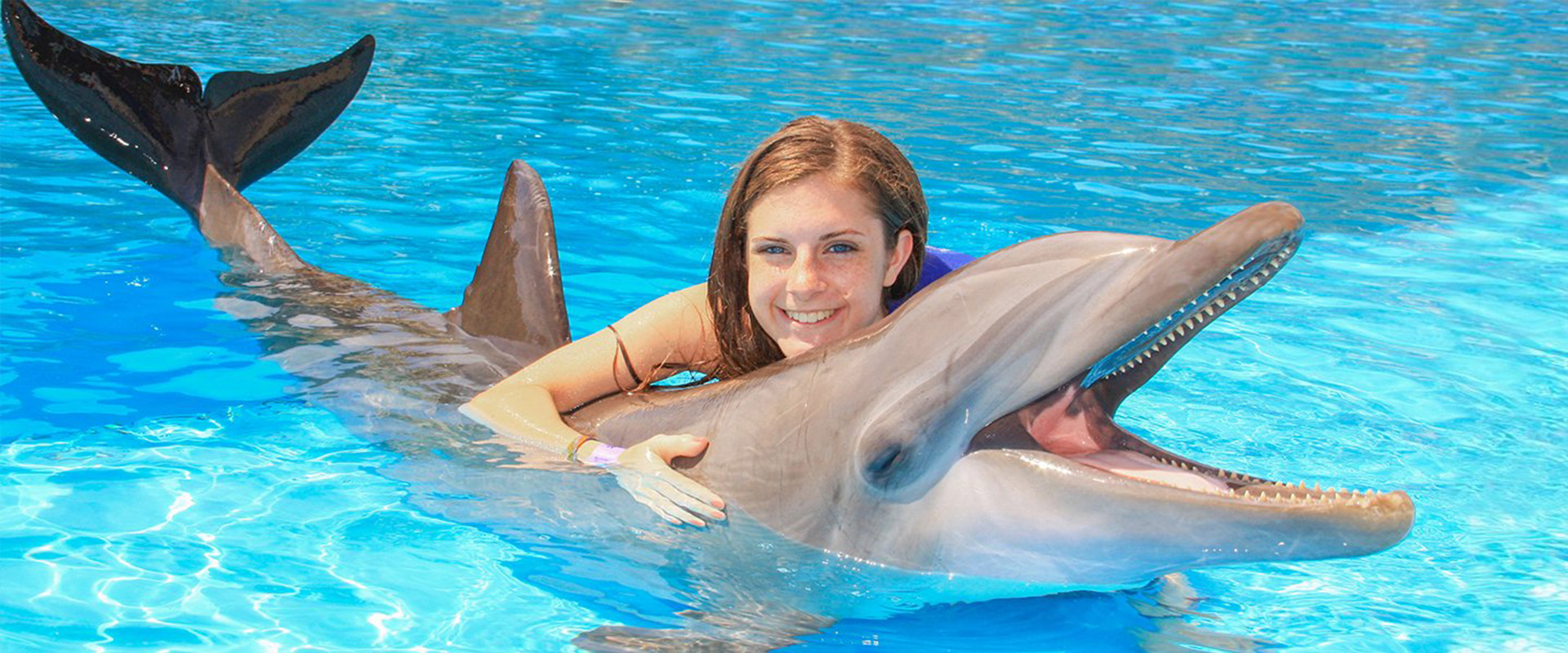 Dolphin Encounter