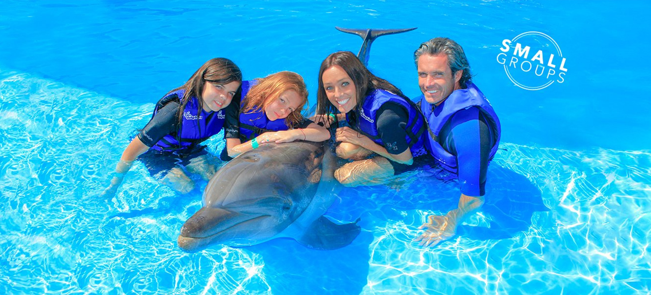 Dolphin Experience