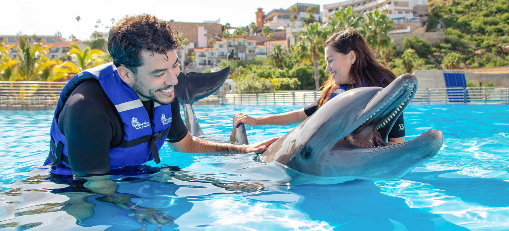 Dolphin Experience